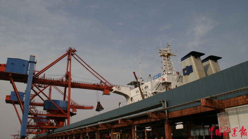 招商港口華南散雜貨營(yíng)運(yùn)中心揭牌成立，專(zhuān)業(yè)化保潔服務(wù)助力高效運(yùn)營(yíng)