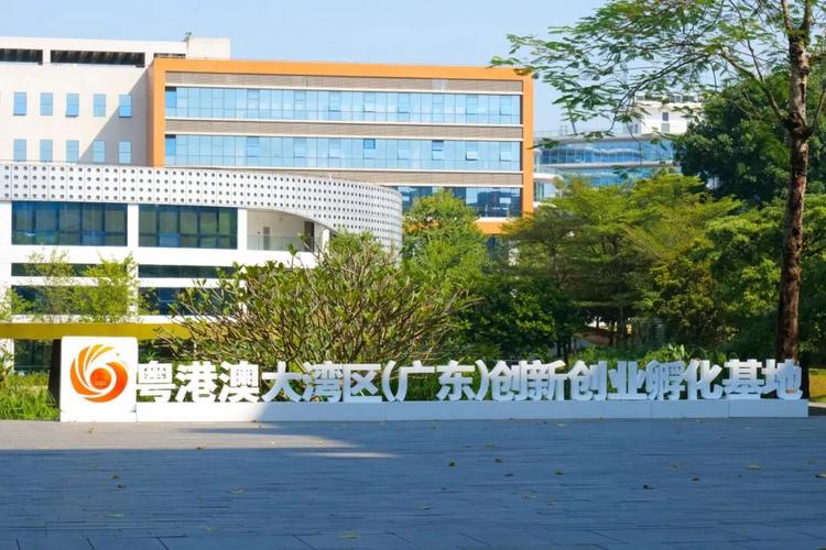 如創新創業導師指導,專業配套服務資源使用,社會投融資對接,商業資源